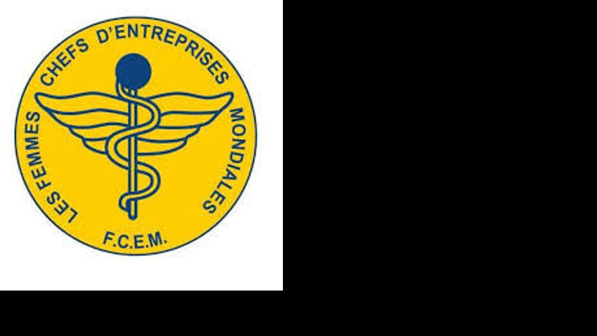 AIDDA Associazione Imprenditrici e Donne Dirigenti di Azienda AIDDA Associazione Imprenditrici e Donne Dirigenti di Azienda